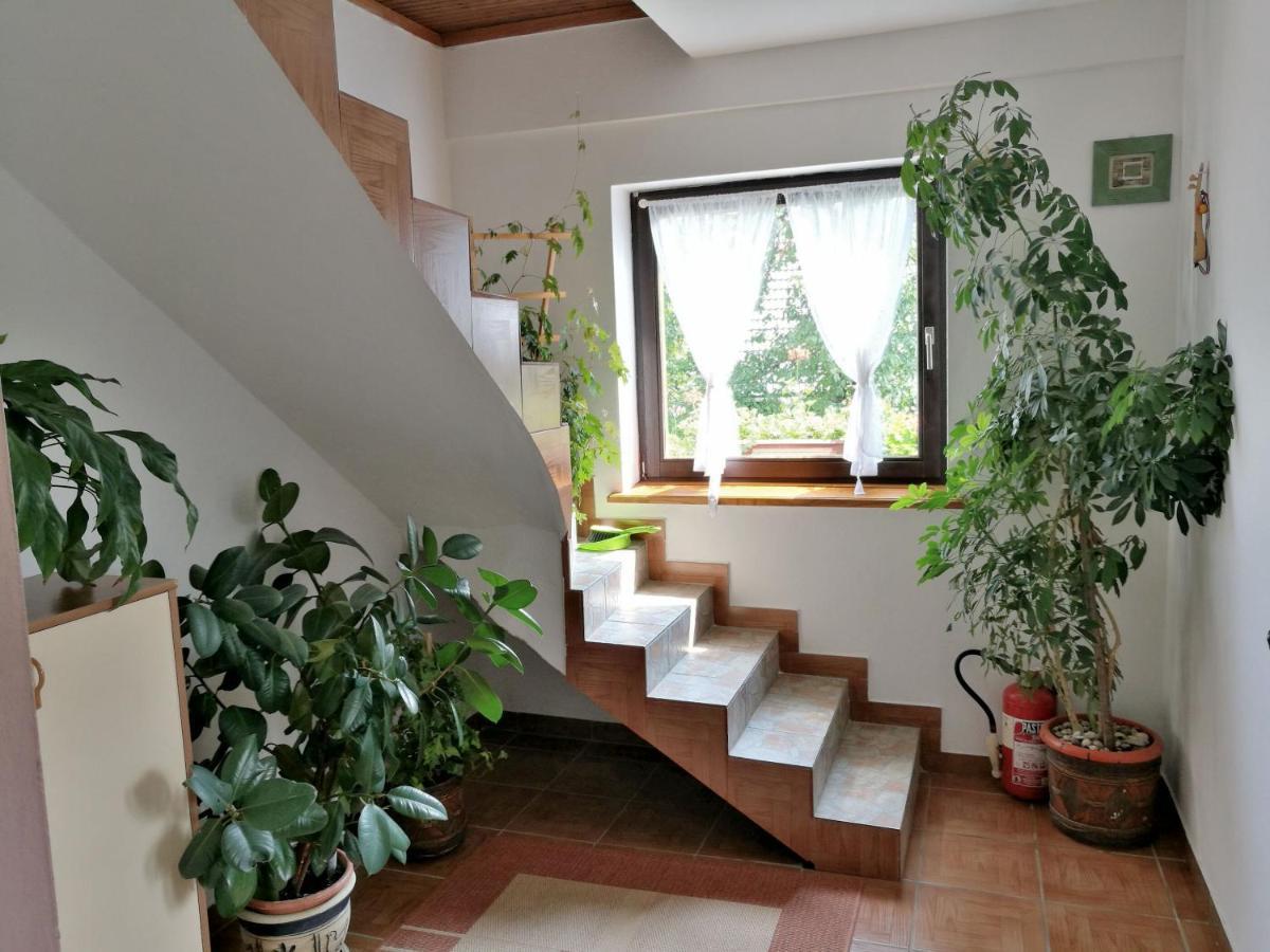House Marica Villa Полянак Екстериор снимка